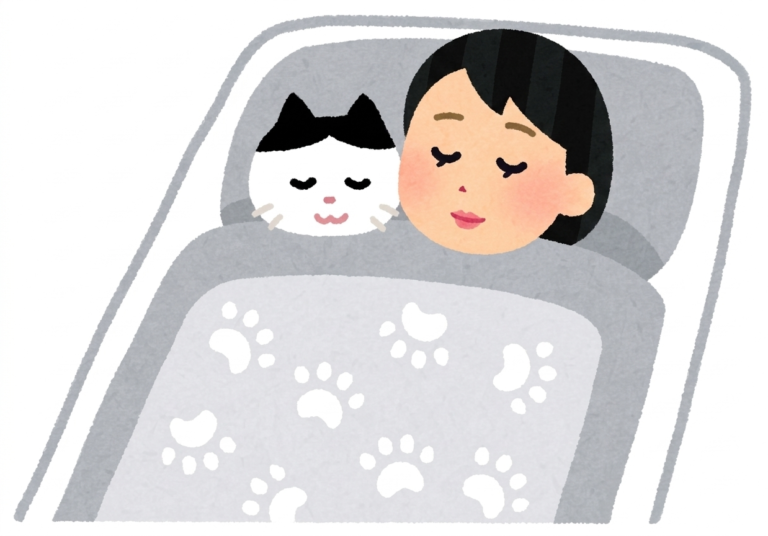 不安な夜　猫と寝る
